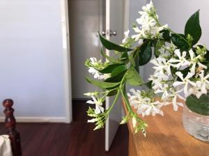 Ảnh trong thư viện ảnh của Airport Master Room ở Perth