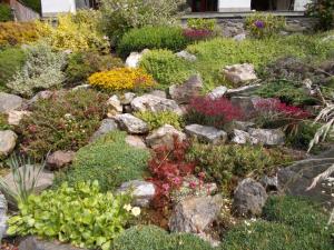 Imagen de la galería de Penzión Eva, en Stará Voda