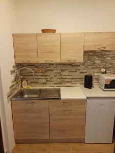 a kitchen with a sink and a stone wall at Apartmán Bokova chata in Nové Hutě +33 photos