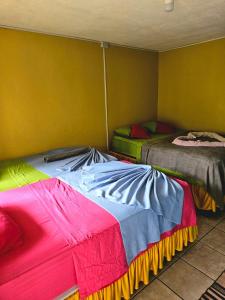 Fotografie z fotogalerie ubytování Cabinas Miss Miriam 2 v destinaci Tortuguero + 43 fotografií