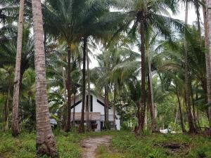 a house in the middle of a forest of palm trees at Vakantie Vila Wab in Watnil