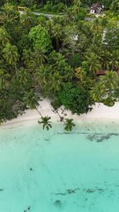 an aerial view of a tropical island with turquoise water at Vakantie Vila Wab in Watnil +2 photos