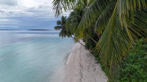 a beach with palm trees next to the ocean at Vakantie Vila Wab in Watnil