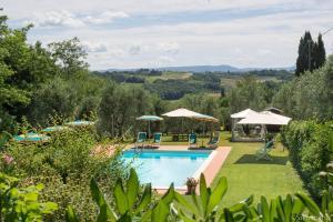 a pool in a garden with umbrellas at Agriturismo Terre di Toscana in Terricciola
