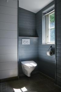 a blue bathroom with a toilet and a window at Visby Logi & Vandrarhem in Visby