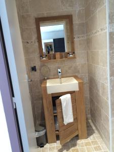 La salle de bains est pourvue d'un lavabo et d'un miroir. dans l'établissement Chez Jojo & Cassi, à Vert-Saint-Denis