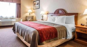 Postel nebo postele na pokoji v ubytování Quality Inn