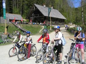 Imagen de la galería de Gasthaus-Pension Sandner Linde, en Steinbach an der Steyr