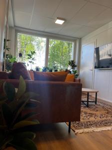 TV a/nebo společenská místnost v ubytování Academy Hotel Kemijärvi
