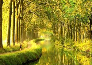 a painting of a river in a forest with trees at Charming brickyard cottage near a lock in Ayguesvives