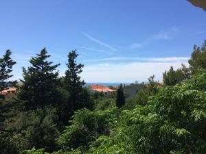 a view from the hill of trees at Apartments MiaMaja in Novalja