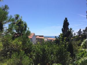 a view of a house through the trees at Apartments MiaMaja in Novalja