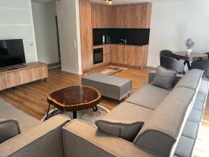 a living room with a couch and a tv at Apartment Stadtgarten in Singen