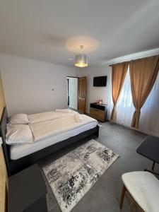 a bedroom with a large bed and a tv at Casa Stauder in Seini