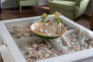a tray filled with lots of different types of rocks at Groeneweg 6, Wissenkerke in Wissenkerke