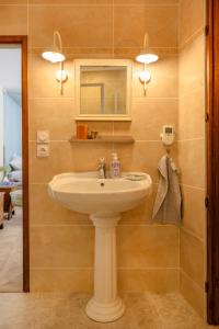 Ένα μπάνιο στο Manoir saint Eusèbe +30 φωτογραφίες