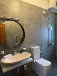 キャンディにあるThe Green Lodge Kandyの洗面台、鏡、トイレ付きのバスルーム
