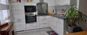 a kitchen with white appliances and a potted plant at Le petit Pouncet in Le Fousseret