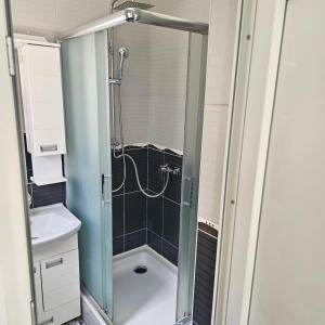 Ένα μπάνιο στο Apartment Savanovic