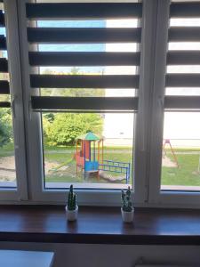 Zahrada ubytování Sunny Family Zator Energylandia + 6 fotografií