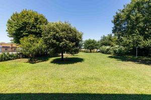 Zahrada ubytování Villa Roncuzzi + 34 fotografií