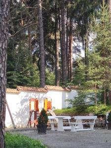 un grupo de sillas sentadas frente a una casa en Forest Chamkoria Apartment, en Borovets