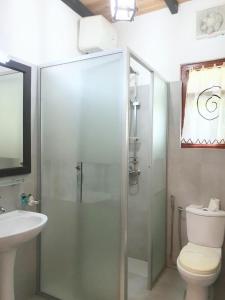 本托塔柏林豪斯酒店的相册照片