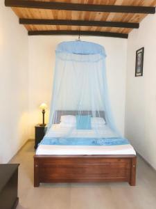 本托塔柏林豪斯酒店的相册照片