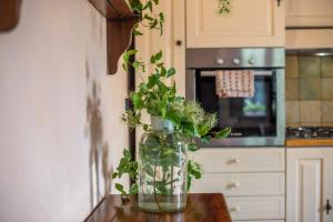 Afbeelding uit fotogalerij van Podere La Speranza in Chiusdino