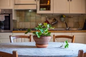 Afbeelding uit fotogalerij van Podere La Speranza in Chiusdino