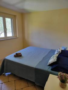 a bedroom with a bed with blue sheets and a window at Heleni Apartment in Tortoreto Lido