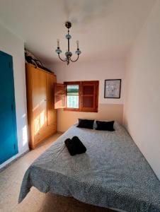 a bedroom with a bed and a chandelier at Buganvilla in Valencia +23 photos