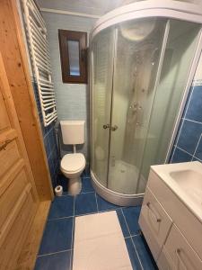 a bathroom with a shower and a toilet and a sink at Forest & Lake House in Dumbrăviţa +22 photos