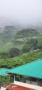 Un techo verde en un edificio con una colina verde. en Rock Villa, en Vagamon