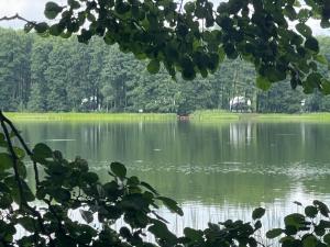 Gallery image of Borowy Glamp więcej niż domki in Męcikał