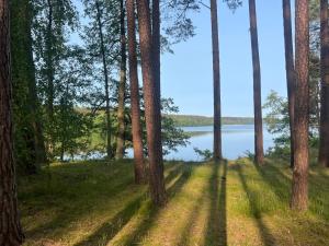 Gallery image of Borowy Glamp więcej niż domki in Męcikał