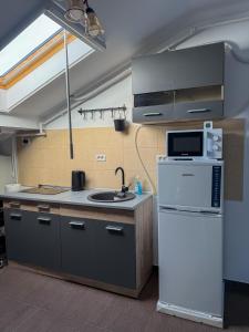 a kitchen with a sink and a microwave at Mansarda Chiajna in Roşu +13 photos