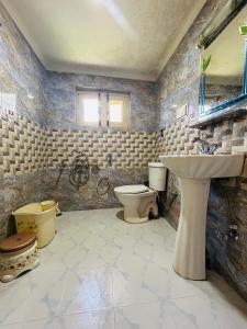a bathroom with a sink and a toilet at Lidder view The best River side Resort in Pahalgam in Pahalgām