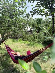 a couple of people laying in a hammock at Dan guest house in Pokrovka +19 photos