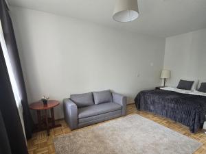 a bedroom with a bed and a couch and a chair at Studio at Tottinkatu in Savonlinna