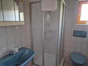 a bathroom with a shower and a sink and a toilet at Bio-Bauernhof Wilfling in Miesenbach
