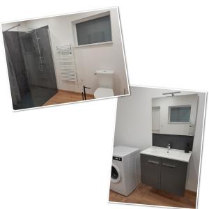 two pictures of a bathroom with a toilet and a sink at Gîte de l'Aubrigoux - Maison in Saint-Jean-dʼAubrigoux +20 photos