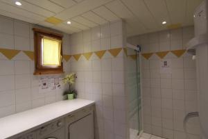 a bathroom with a shower and a sink and a window at Chalet des Brimbelles, séjour au cœur de la nature au cœur de la vallée des lacs in Xonrupt-Longemer +15 photos