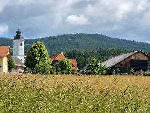 a field of tall grass with a barn and a church at Bio-Bauernhof Wilfling in Miesenbach
