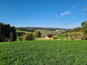 ReidenHaus Huebberg的一片绿草丛,有房子在后面