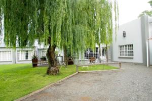 a weeping willow tree in a yard next to a building at Wildebeespan Guest Farm in Delareyville