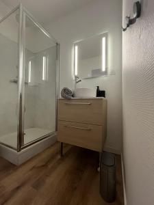 a bathroom with a sink and a shower at Appartement cœur de ville - Angers in Angers