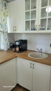 a kitchen counter with a sink and a microwave at Odiseea Apartment-Private parking included in Sibiu +27 photos