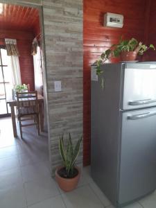 a kitchen with a refrigerator and potted plants on the wall at Edna Cabañas in Tinogasta
