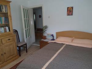a bedroom with a bed and a chair and a book shelf at Casa Cătălina in Silvaşu de Jos